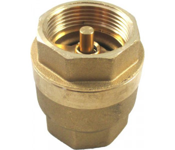 Обратный клапан IG 1 1/4" PN10 для LS, SLS, FWS Wolf