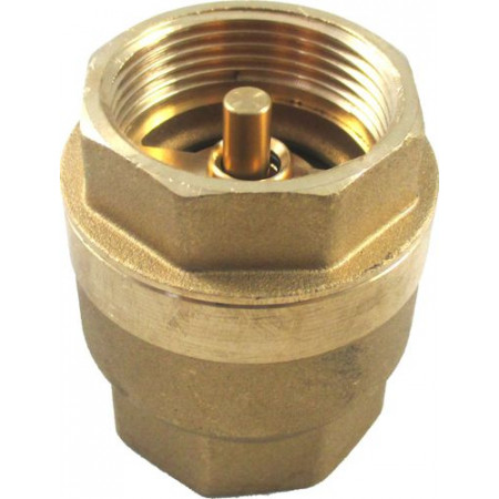 Обратный клапан IG 1 1/4" PN10 для LS, SLS, FWS Wolf