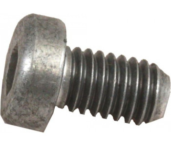 Винт с цилиндрической головкой M6X10-AL DIN7984 Wolf