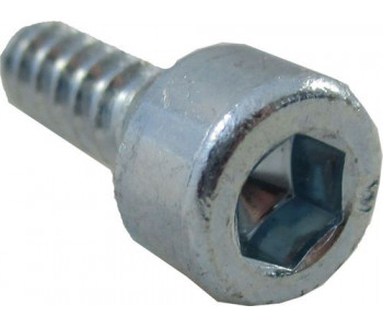 Шуруп ISO4762-A2K 5,5x19C-IS5 для BWS-1/CPM-1 Wolf