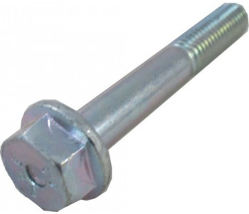 Шуруп DIN6921-8.8-A2K для BWL/BWS-1, M8x55 Wolf