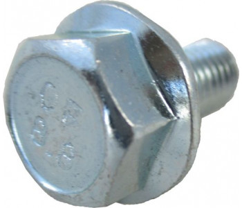 Шуруп DIN6921-8.8-A2K для BWL/BWS-1, M8x16 Wolf