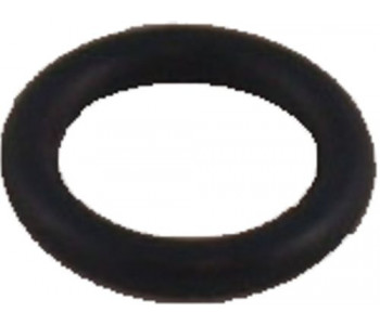Прокладка 10x2,5 EPDM (5 St), для BWL Wolf